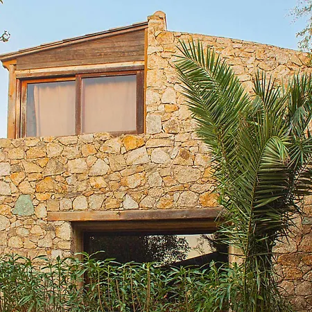 Posidonie Hollywood By Interhome * LʼÎle-Rousse