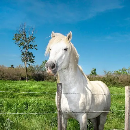 Posidonie Hollywood By Interhome *