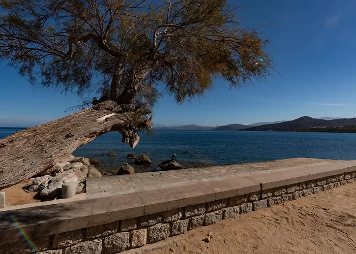 Posidonie Hollywood By Interhome LʼÎle-Rousse